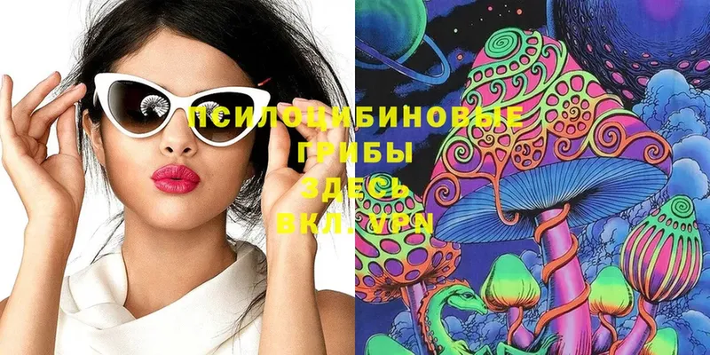 Псилоцибиновые грибы MAGIC MUSHROOMS  где найти   Каменск-Шахтинский 